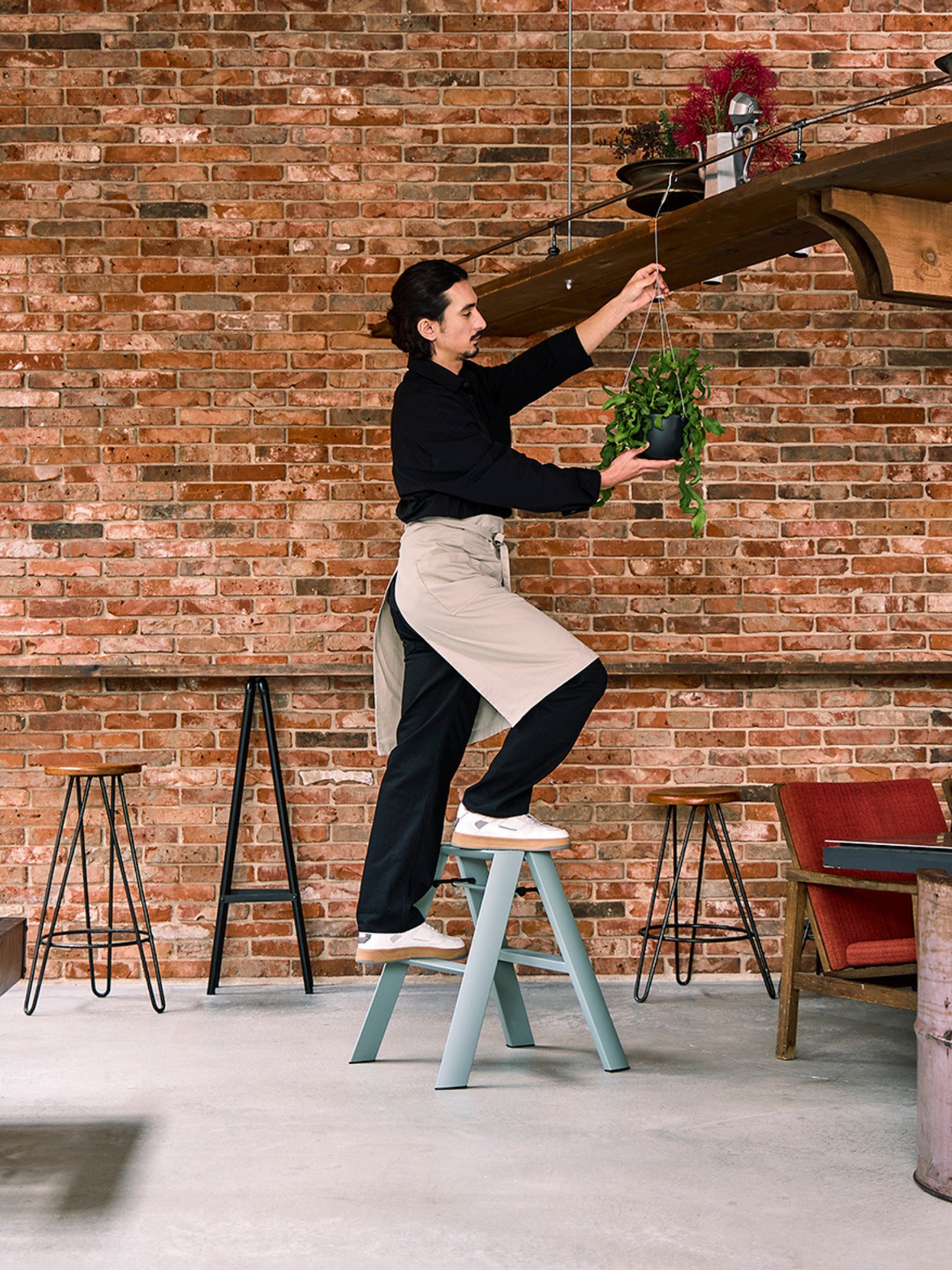 gebruik van een hasegawa 2 step in een café voor het ophangen van een plant